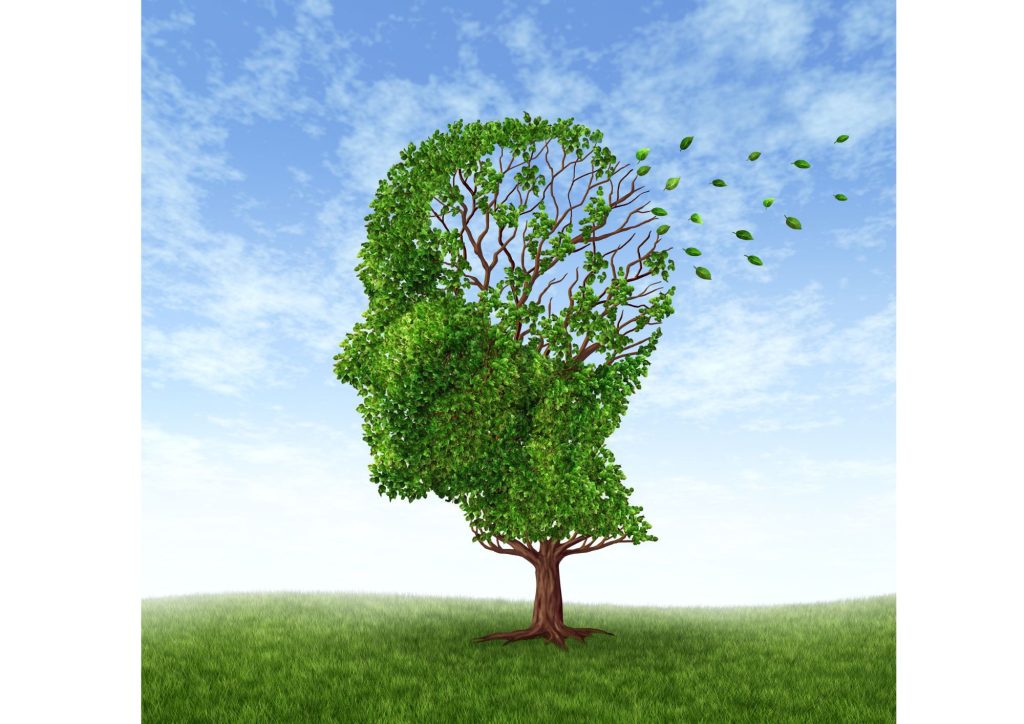 Anji White Tea Enhances Learning Ability and Memory